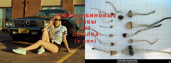 хмурый Армянск