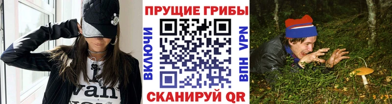 Псилоцибиновые грибы Psilocybe Пудож