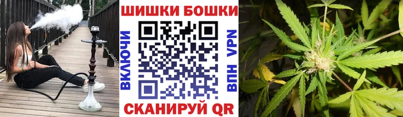 Канабис AK-47  купить наркоту  Пудож 